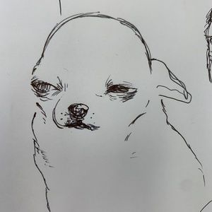 Meet your Posher, Cecilia